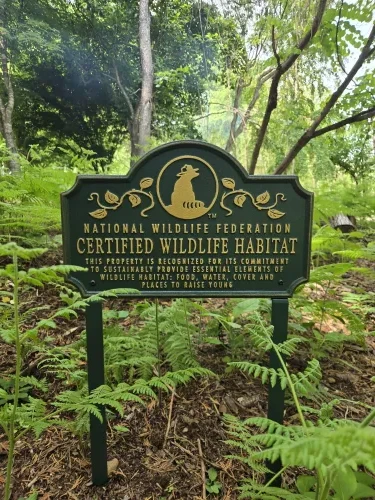 Big News from the Farm: We Are Officially a Certified Wildlife Sanctuary!