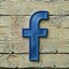 Bat Cave Road Farm on Facebook