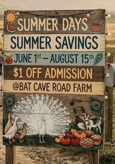 Summer Days, Summer Savings